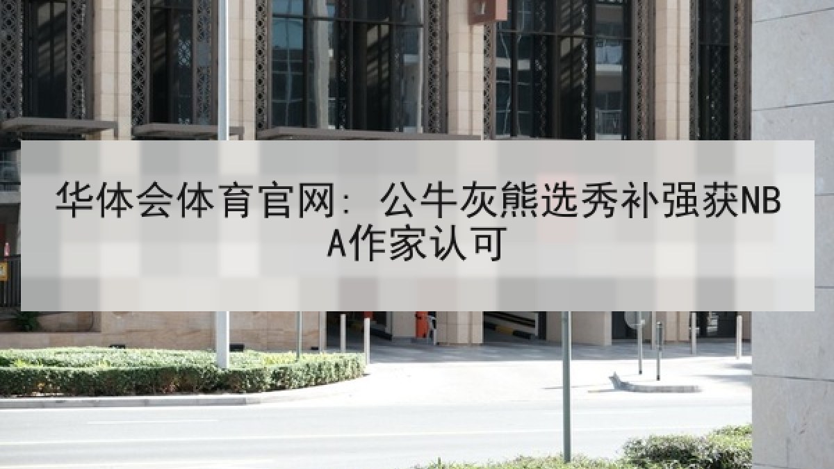 华体会体育官网: 公牛灰熊选秀补强获NBA作家认可