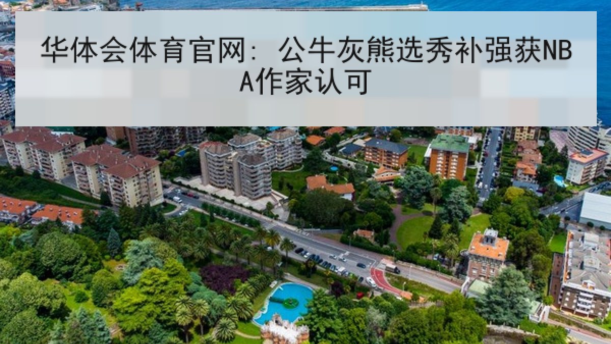 华体会体育官网: 公牛灰熊选秀补强获NBA作家认可